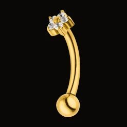 Blooming Rook Piercing | Titan