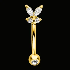 Butterfly Rook Piercing | Chirurgenstahl