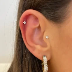 Cute Four Piercing | Titan