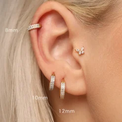 Double Conch Piercing | Titan