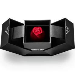 Grazia Ring + Geschenkbox | 925 Echtsilber