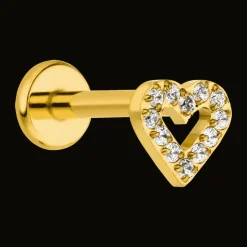 Heart Piercing | Titan