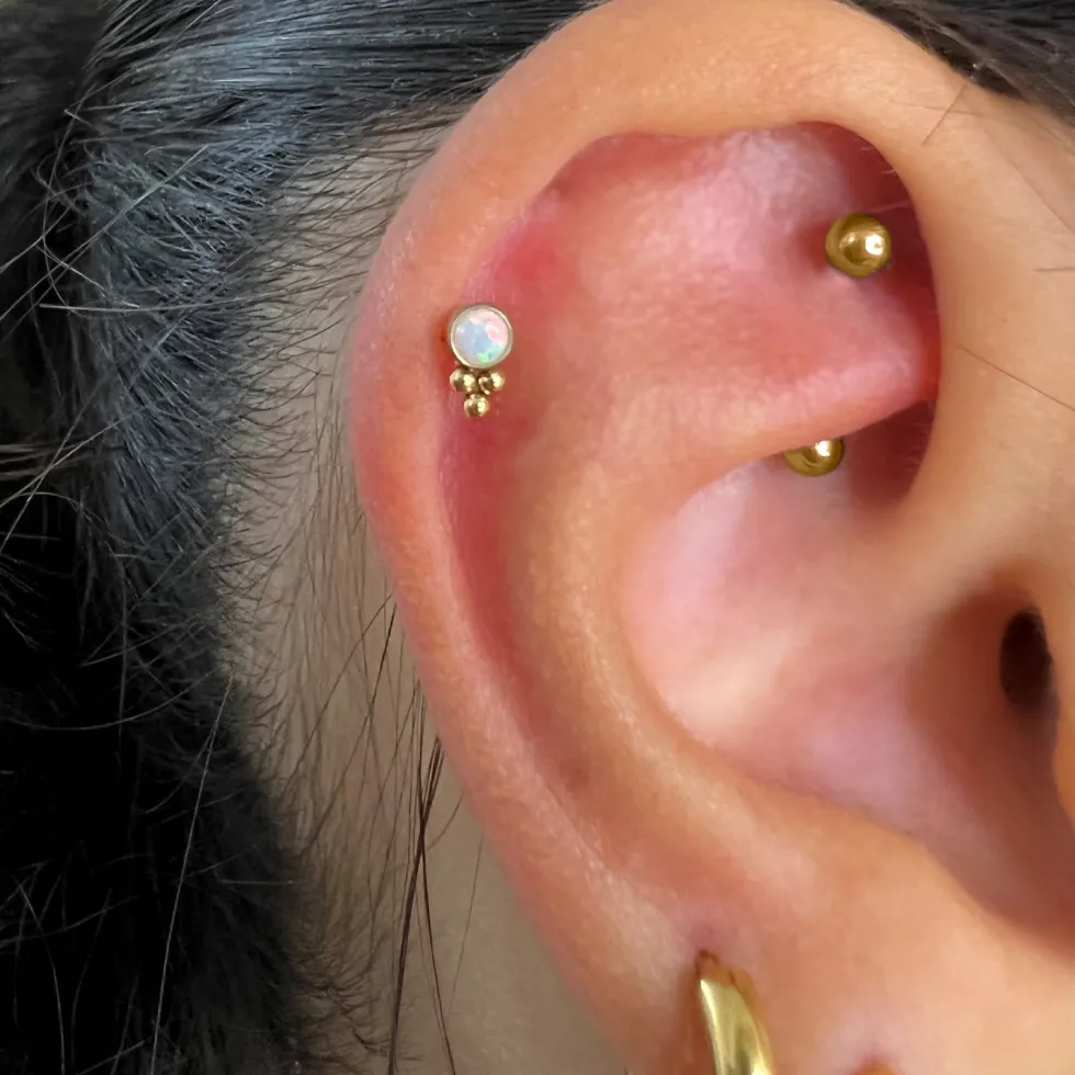 Lavea Piercing | Titan