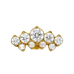 Luxury Piercing | Titan