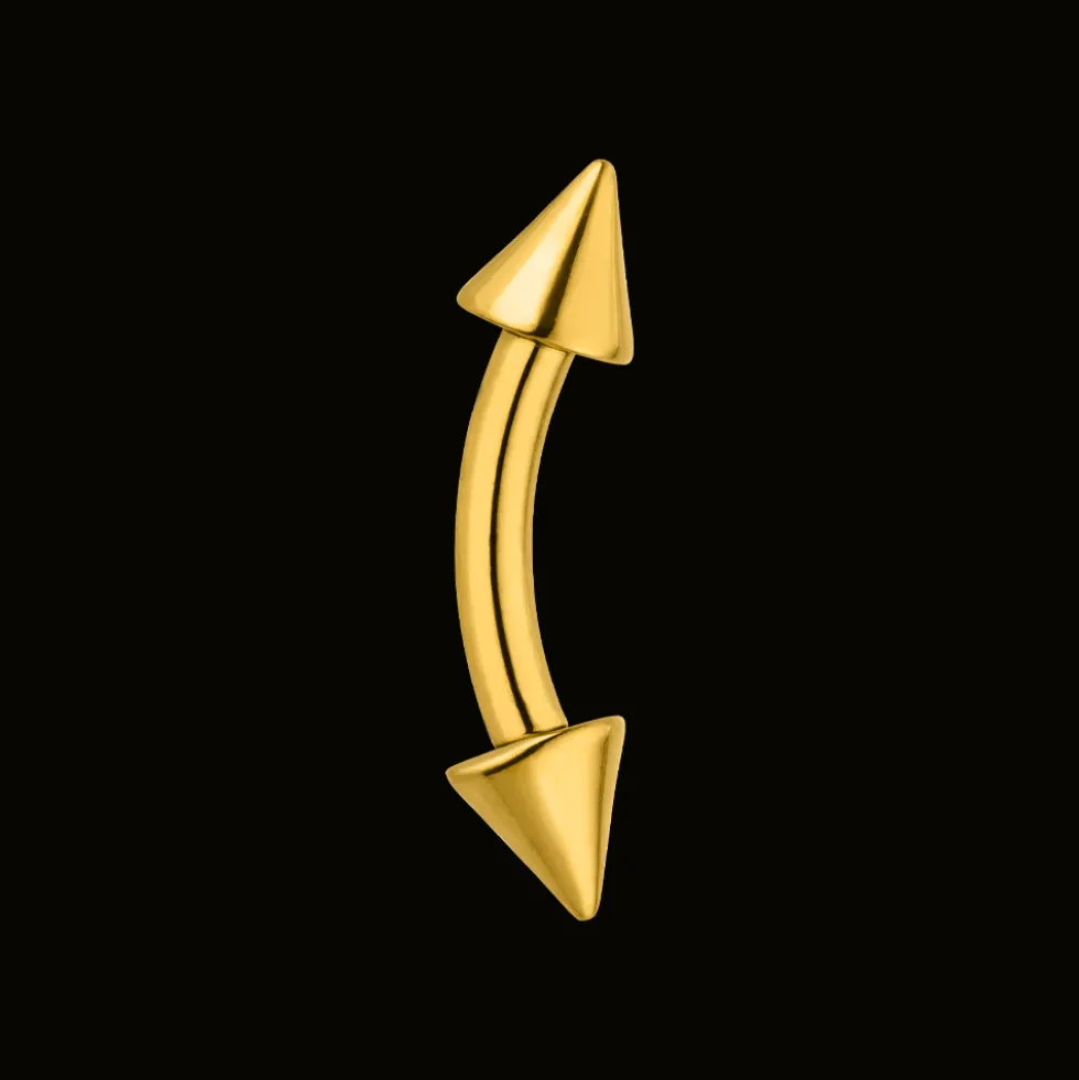 Spike Rook Piercing | Titan